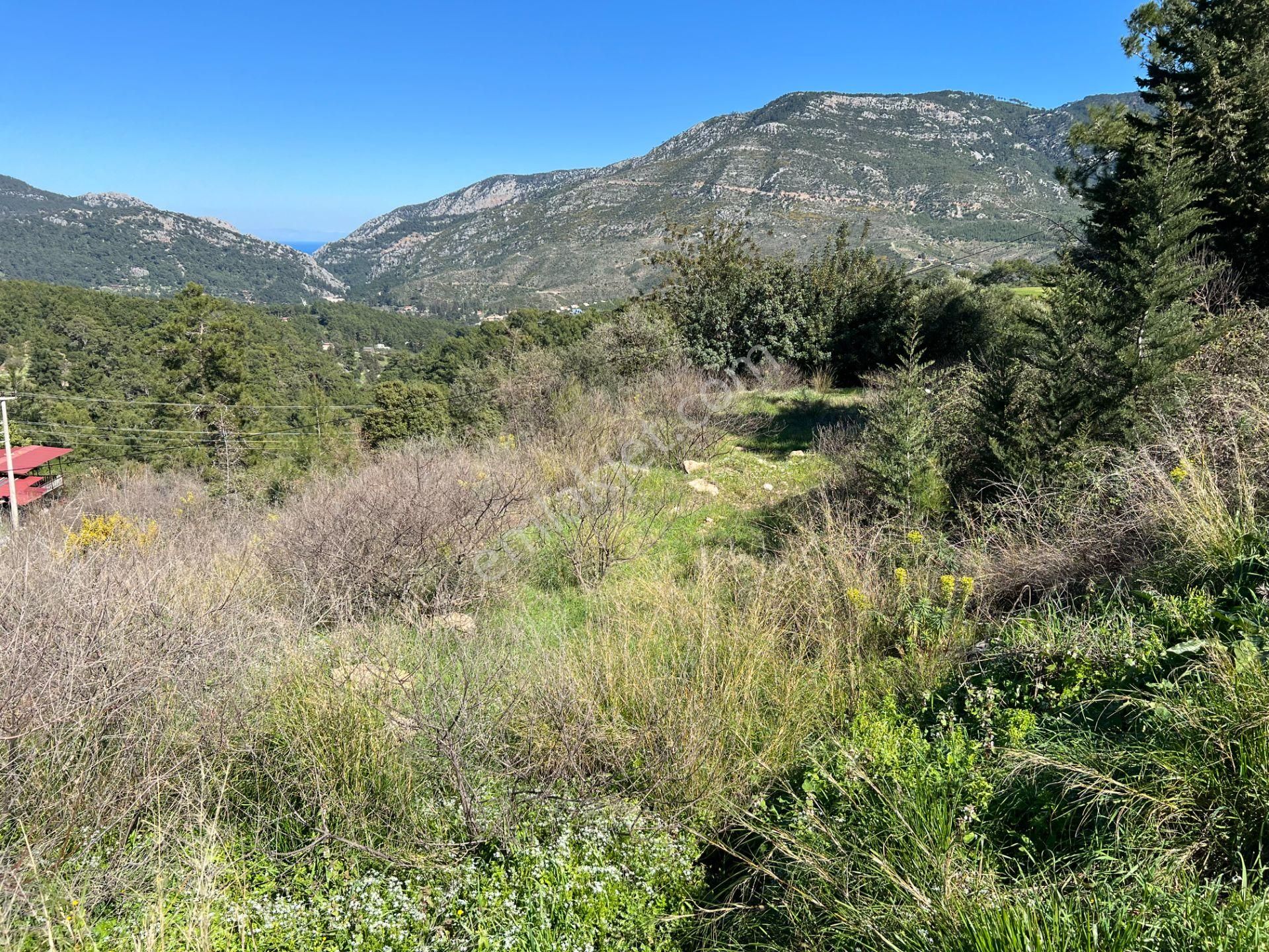 Olympos Yazır'da Deniz Manzaralı Asfalta Cephe Arazi - Görsel 28