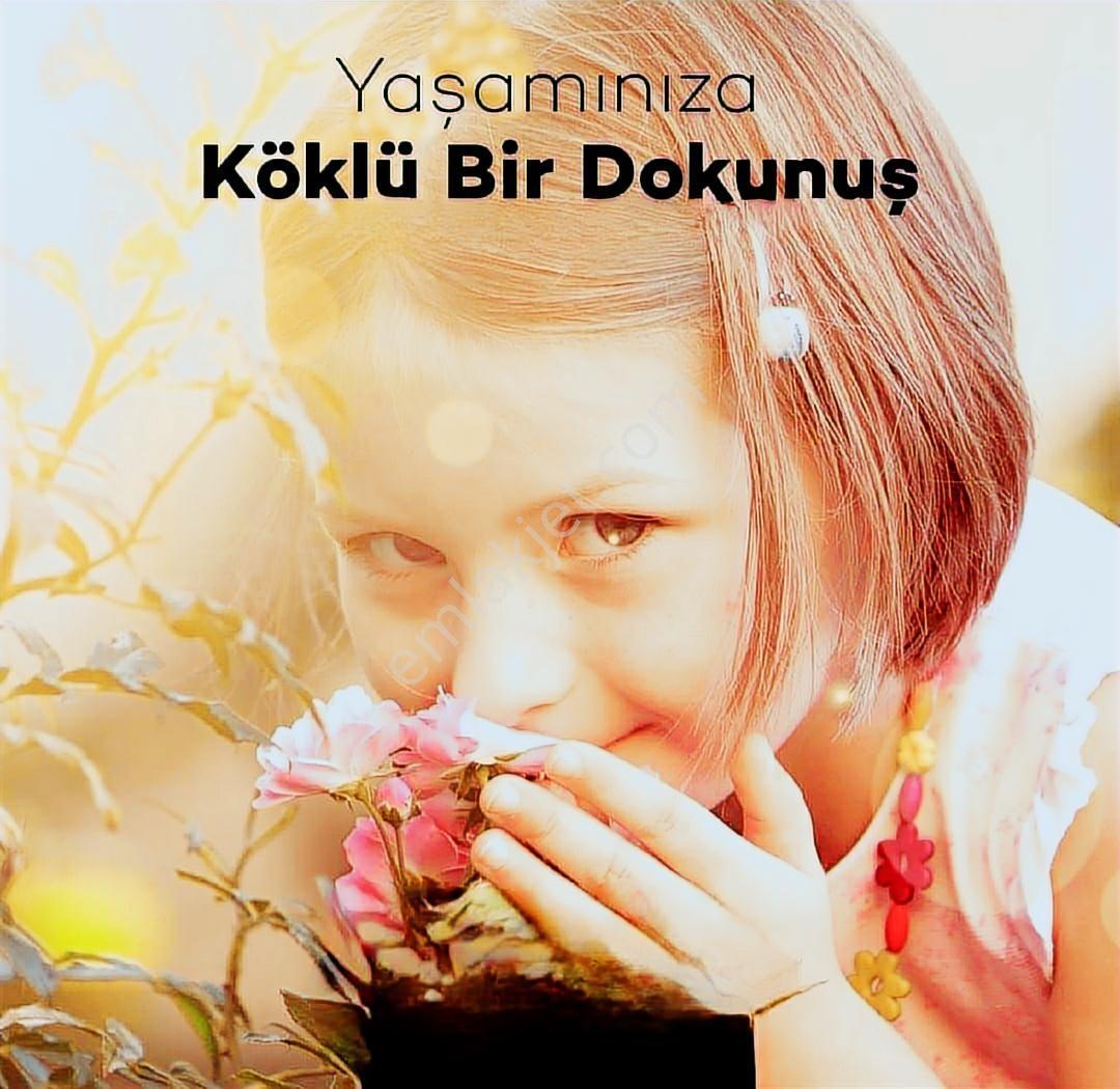 Keçiörende Satılık Tektapu Tarla Yatırımlarınızı Kâra Dönüştürün - Görsel 12