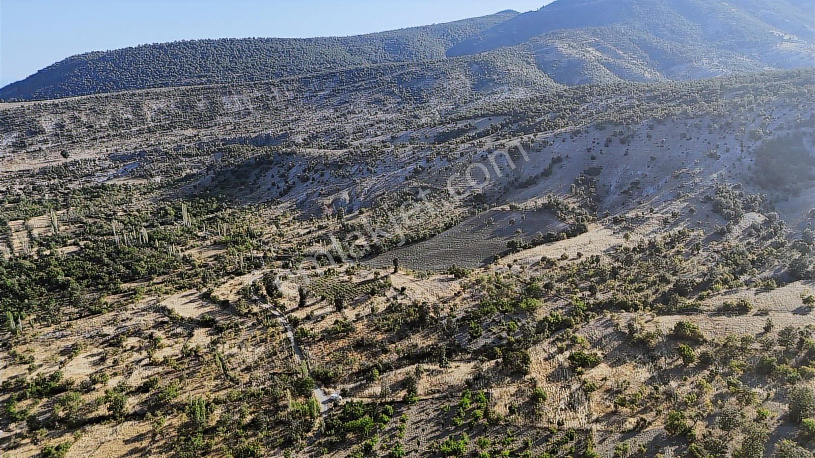 Meram Yeşiltekke'de 1.062 M² Müstakil Tapulu Tarla - Görsel 13