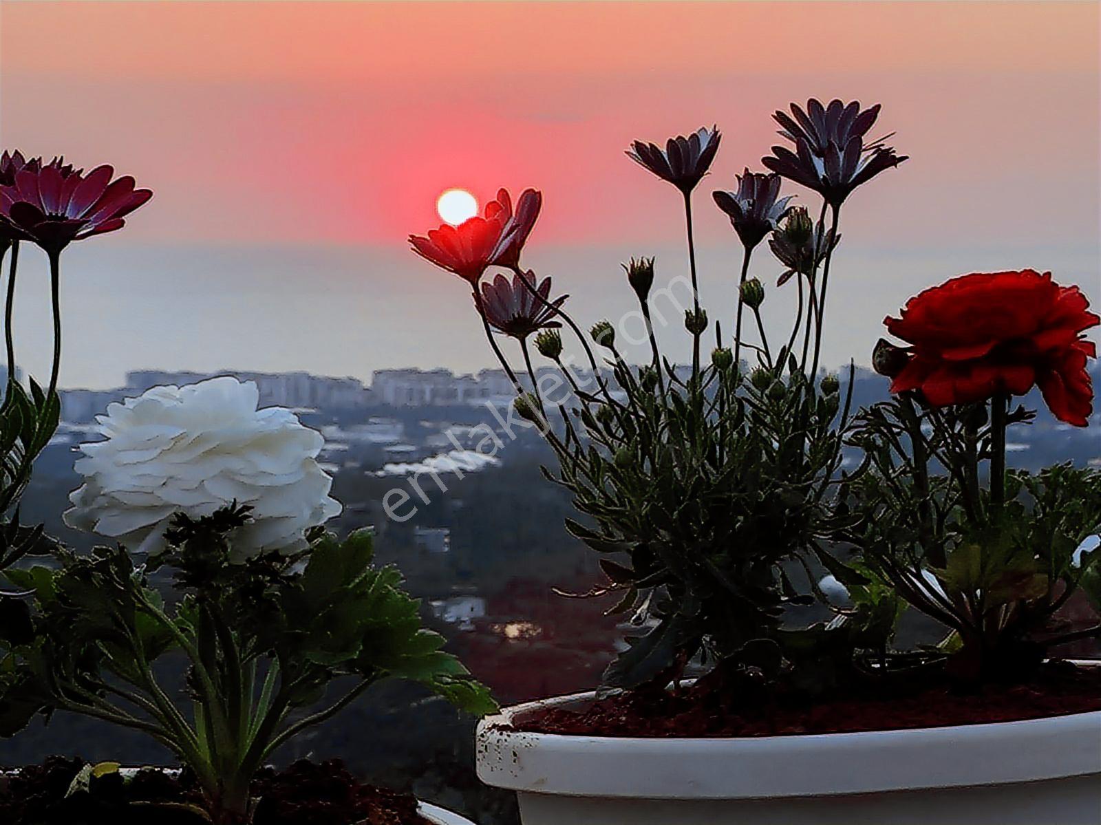 Alanya Mahmutlar 3+1 500m2 Arsada, 200m2 Müstakil Villa Havuzlu - Görsel 8