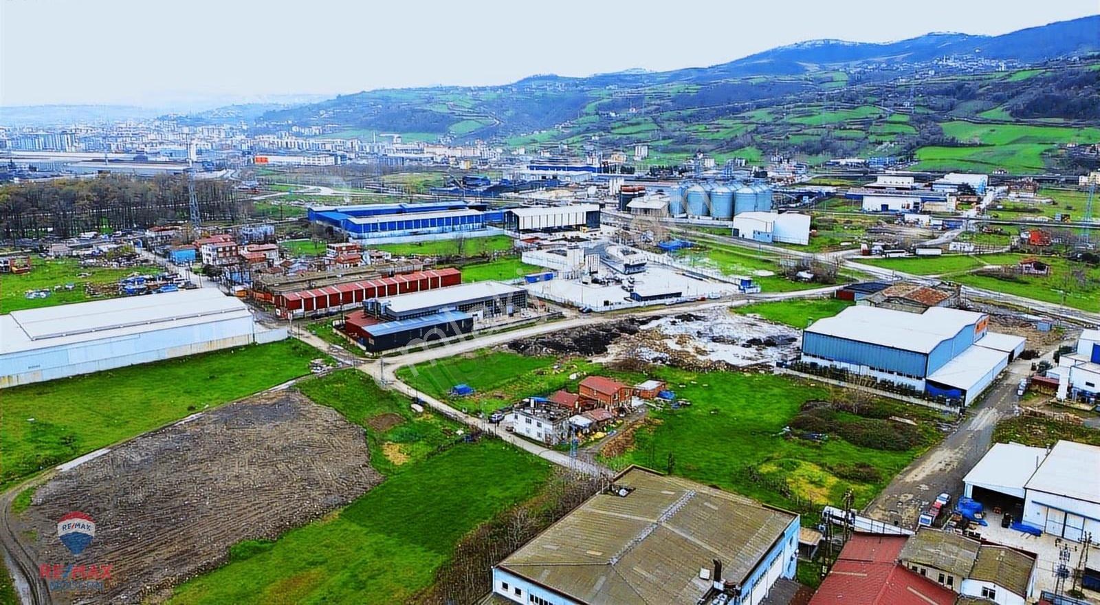 Samsun Tekkeköy Osb Merkezinde 1.560 M² Satılık Ticari Arsa - Görsel 12