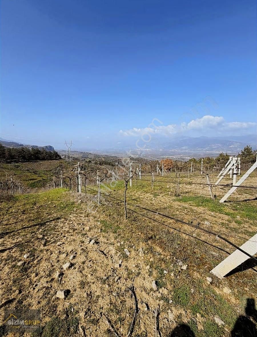 Sakarya Geyve Sarıgazi Mahallesinde Eşsiz Üzüm Bağı Fırsatı - Görsel 18