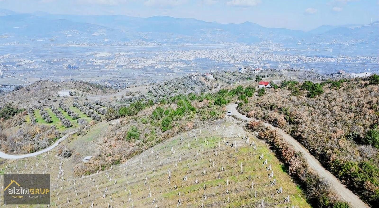 Sakarya Geyve Sarıgazi Mahallesinde Eşsiz Üzüm Bağı Fırsatı - Görsel 24