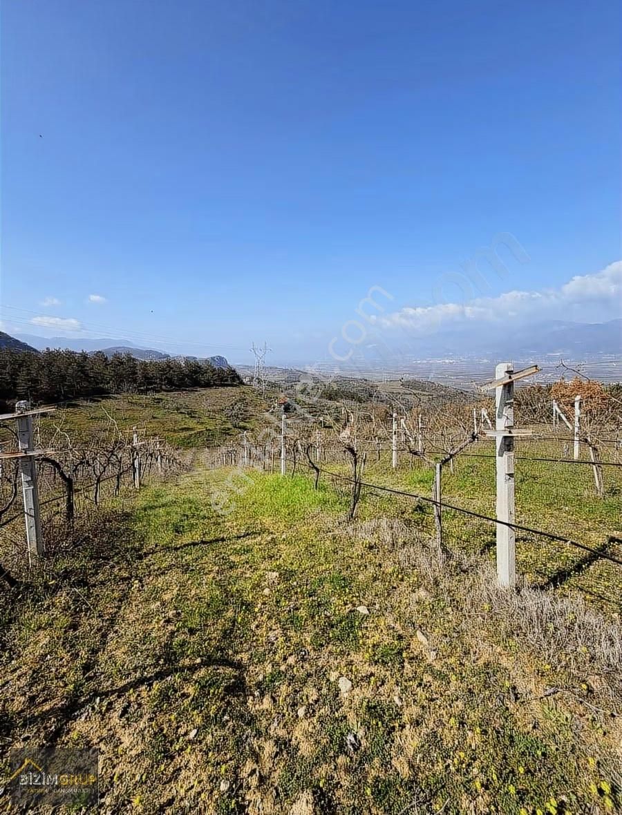 Sakarya Geyve Sarıgazi Mahallesinde Eşsiz Üzüm Bağı Fırsatı - Görsel 27