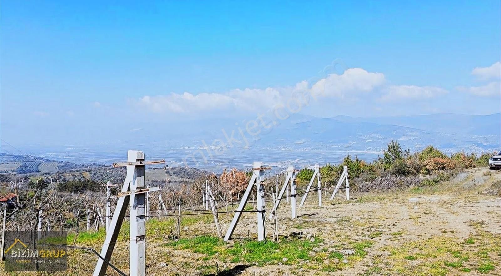 Sakarya Geyve Sarıgazi Mahallesinde Eşsiz Üzüm Bağı Fırsatı - Görsel 14