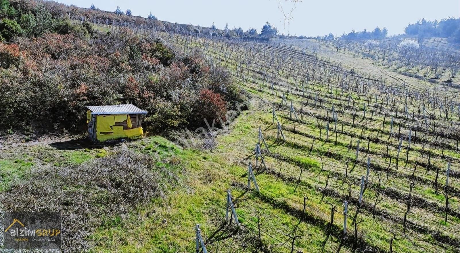 Sakarya Geyve Sarıgazi Mahallesinde Eşsiz Üzüm Bağı Fırsatı - Görsel 21