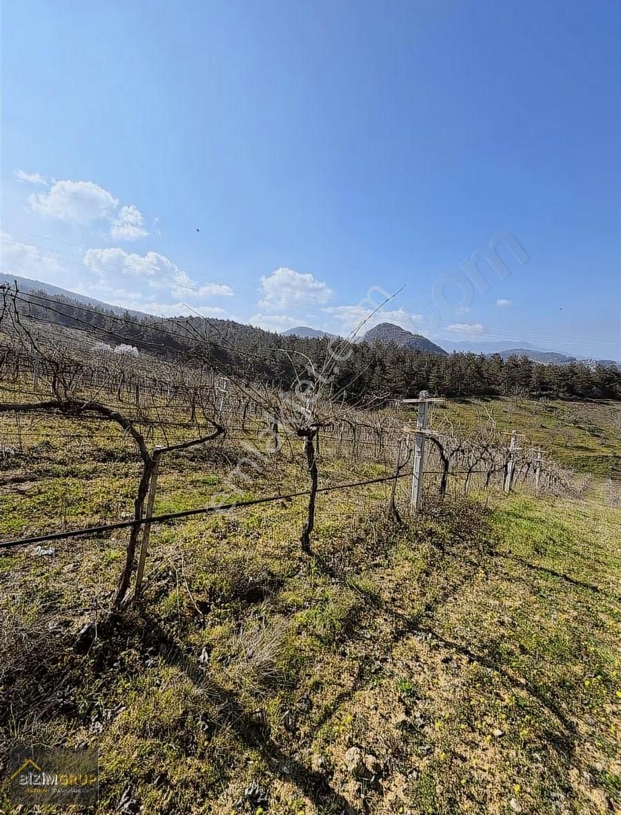 Sakarya Geyve Sarıgazi Mahallesinde Eşsiz Üzüm Bağı Fırsatı - Görsel 30