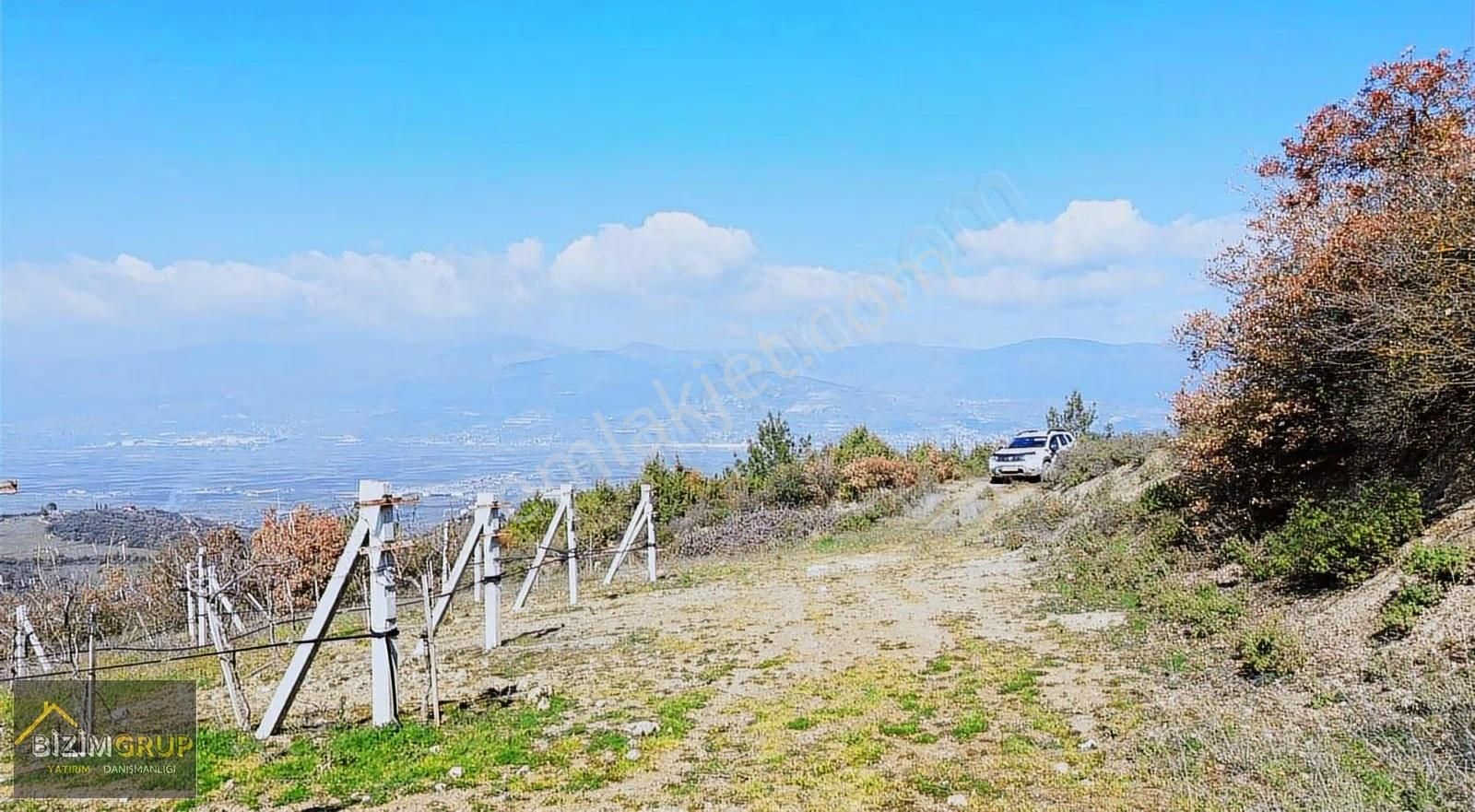 Sakarya Geyve Sarıgazi Mahallesinde Eşsiz Üzüm Bağı Fırsatı - Görsel 6