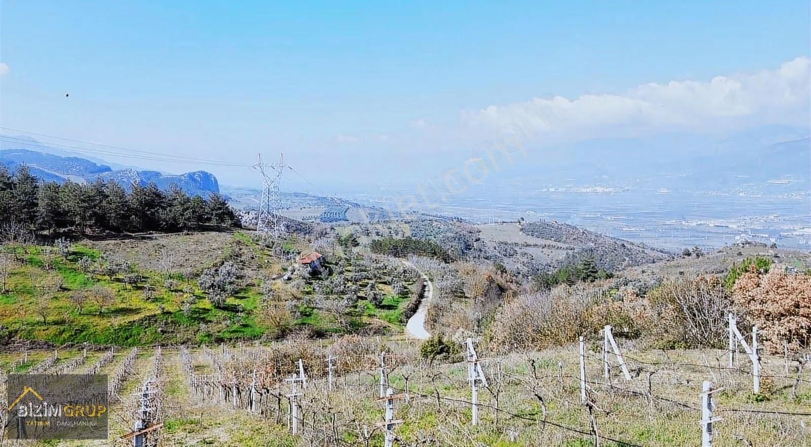 Sakarya Geyve Sarıgazi Mahallesinde Eşsiz Üzüm Bağı Fırsatı - Görsel 22
