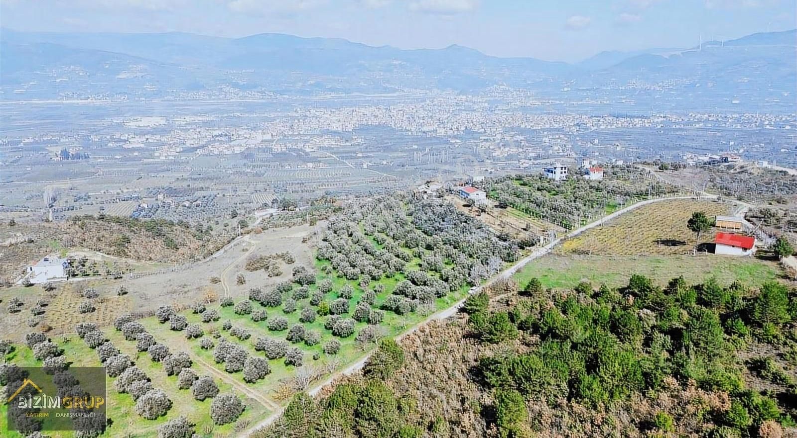 Sakarya Geyve Sarıgazi Mahallesinde Eşsiz Üzüm Bağı Fırsatı - Görsel 28