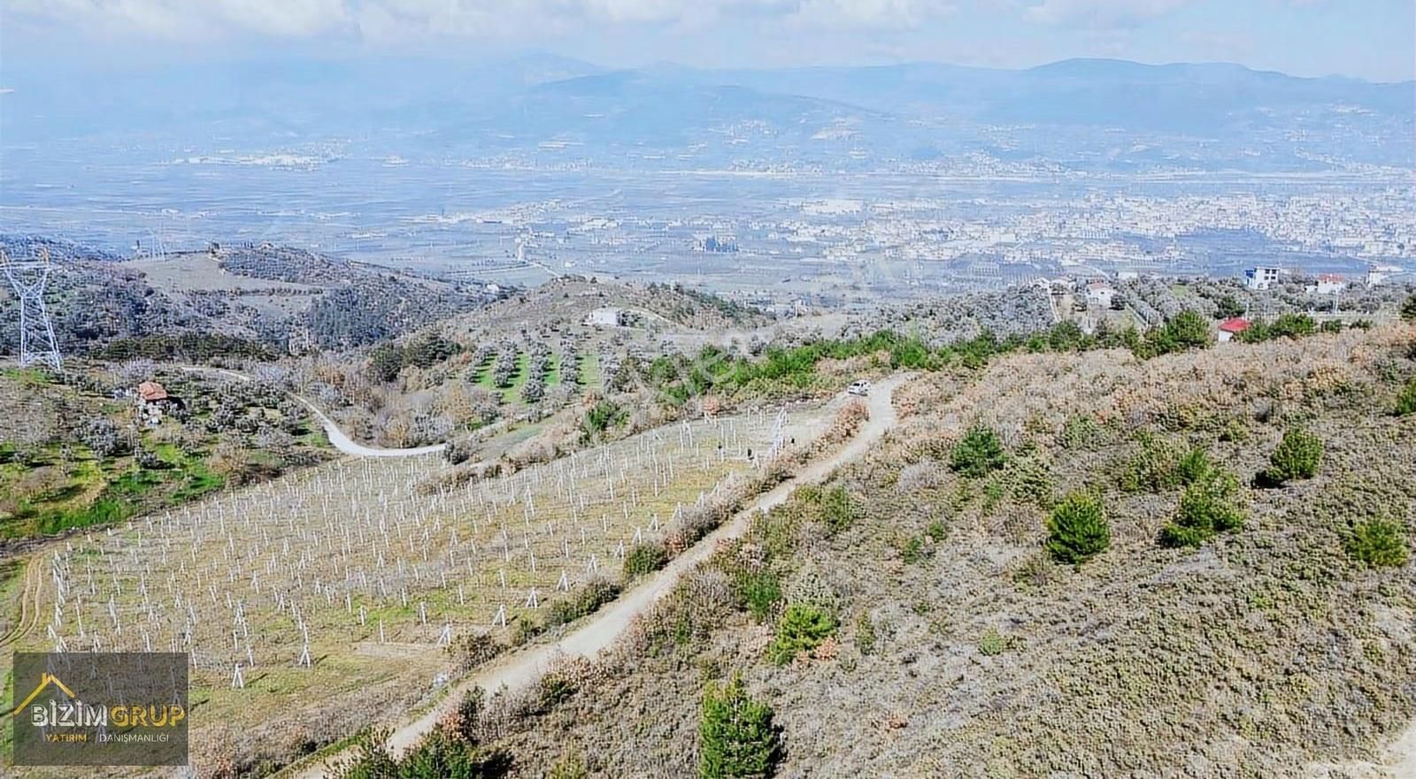 Sakarya Geyve Sarıgazi Mahallesinde Eşsiz Üzüm Bağı Fırsatı - Görsel 9