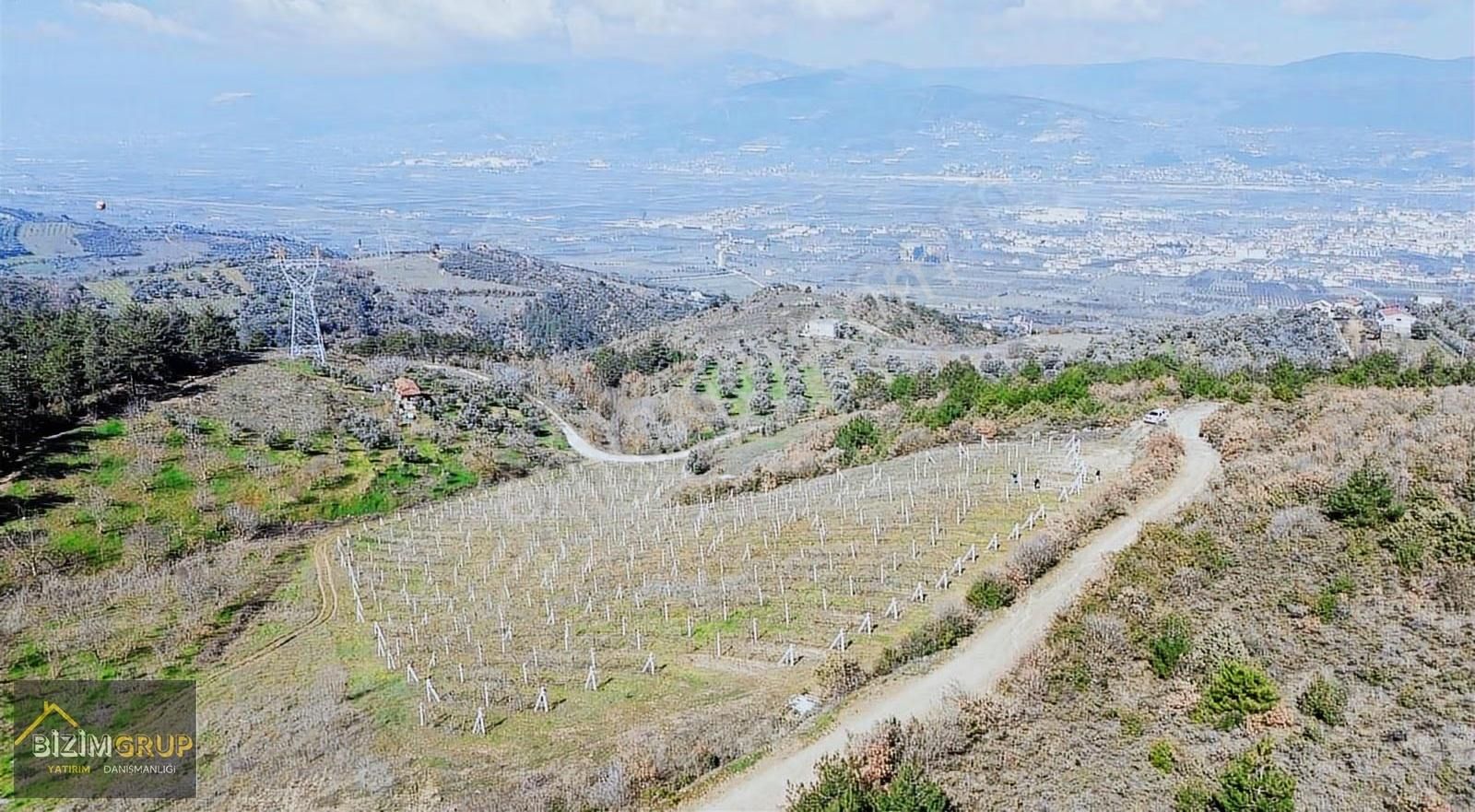 Sakarya Geyve Sarıgazi Mahallesinde Eşsiz Üzüm Bağı Fırsatı - Görsel 25