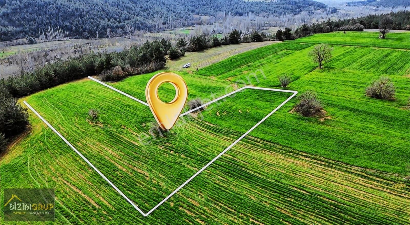 Bölgenin En Uygun Fiyatı! Geyve Karacaörende 1913 M² Arazi