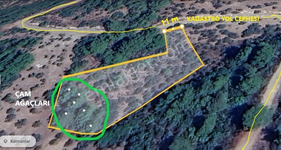 İzmir-bayındır-sarıyurt Kadastral Yola Cepheli Satılık Zeytinlik - Görsel 12