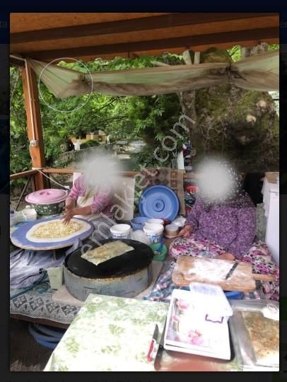 İzmir-bayındır-sarıyurt Kadastral Yola Cepheli Satılık Zeytinlik - Görsel 10