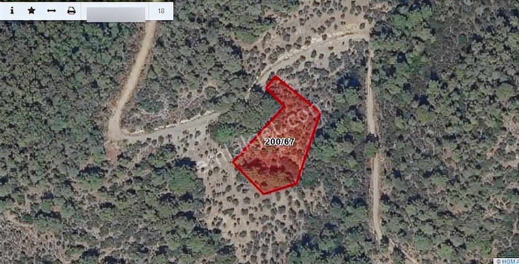 İzmir-bayındır-sarıyurt Kadastral Yola Cepheli Satılık Zeytinlik