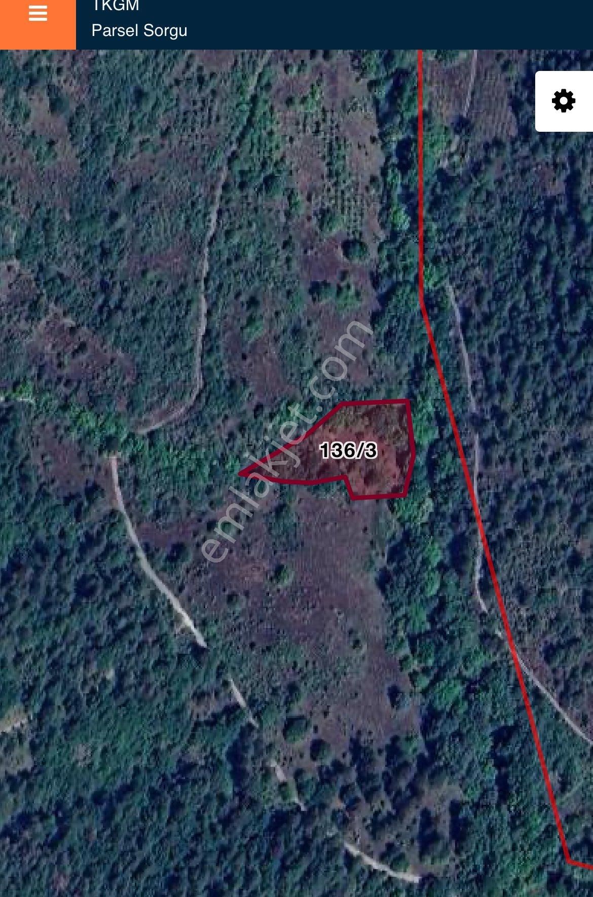 Ana Yola Çok Yakın