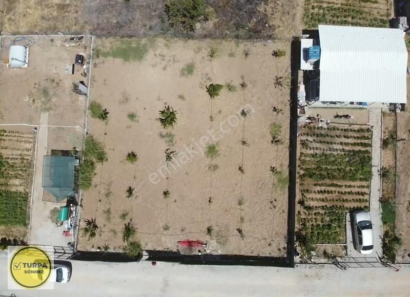 Turpa Sönmezden Kısık Da Harika Konumda Satılık Bahçe - Görsel 9