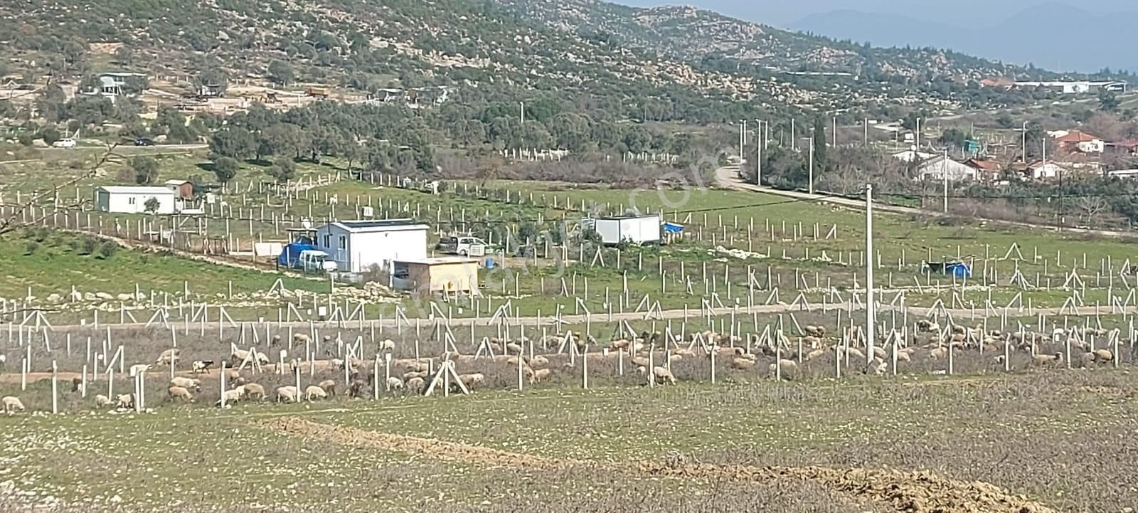 Gümüldür Yolunda Tek Tapu Elektrik Su Var Tel Örgüyle Çevrili Otobüs Durağı