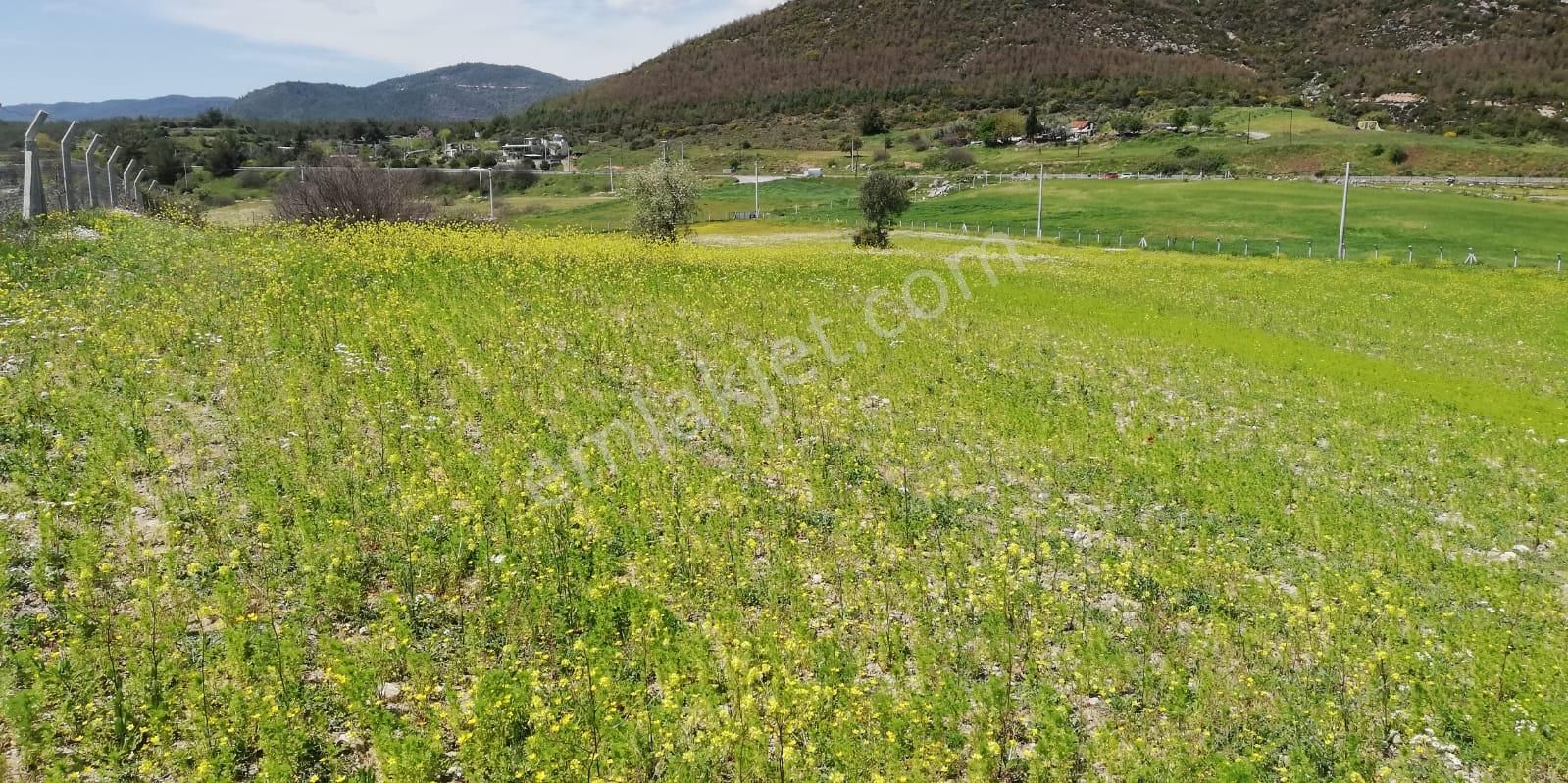 Gümüldür Yolunda Tek Tapu Elektrik Su Var Tel Örgüyle Çevrili Otobüs Durağı - Görsel 11