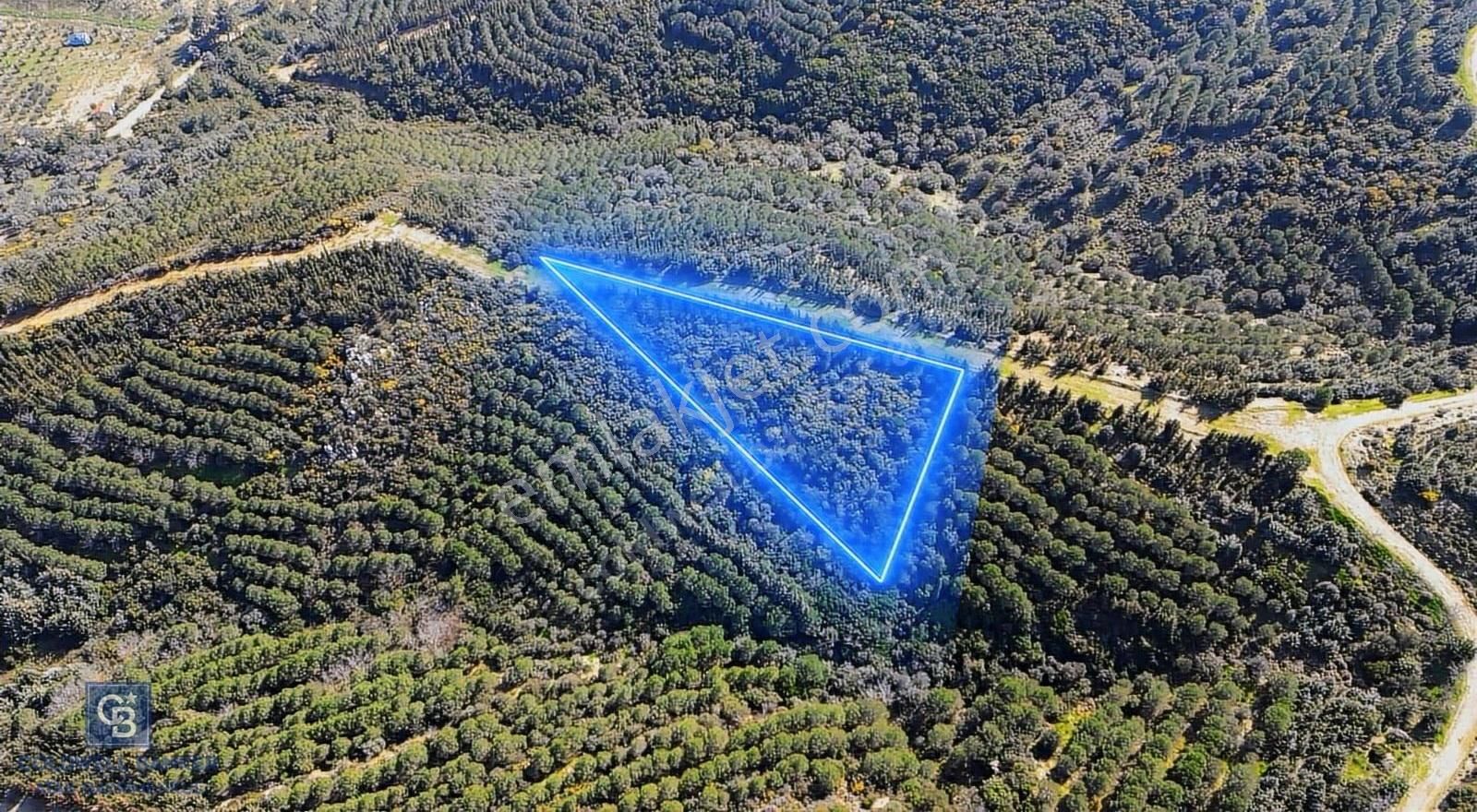 Seferihisar Atatürk Mahallesinde Doğanın Kalbinde Satılık Tarla - Görsel 3