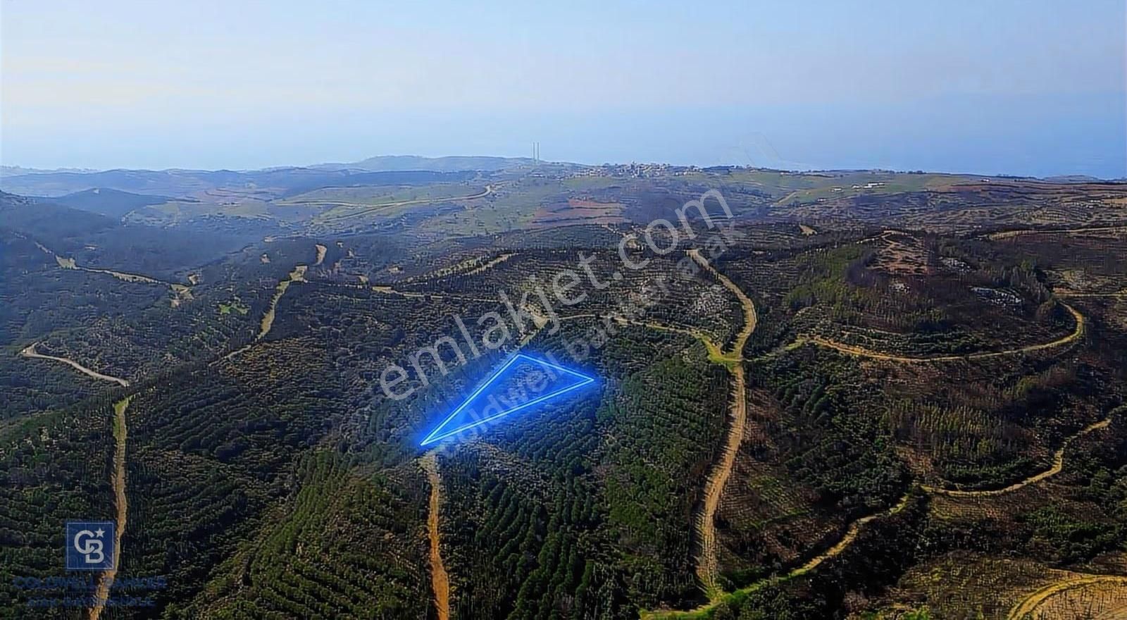 Seferihisar Atatürk Mahallesinde Doğanın Kalbinde Satılık Tarla - Görsel 2