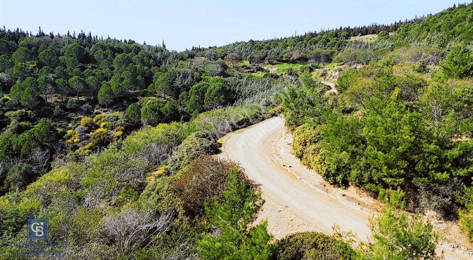 Seferihisar Atatürk Mahallesinde Doğanın Kalbinde Satılık Tarla - Görsel 12