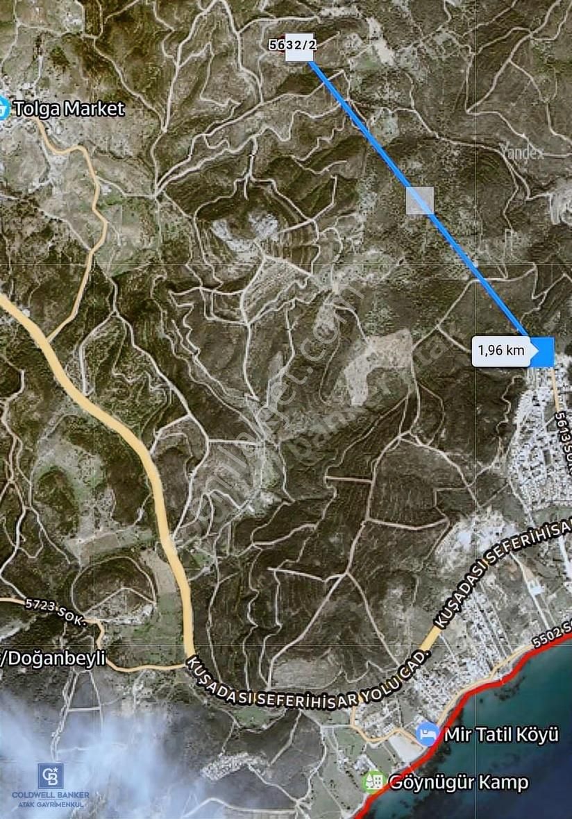 Seferihisar Atatürk Mahallesinde Doğanın Kalbinde Satılık Tarla - Görsel 14