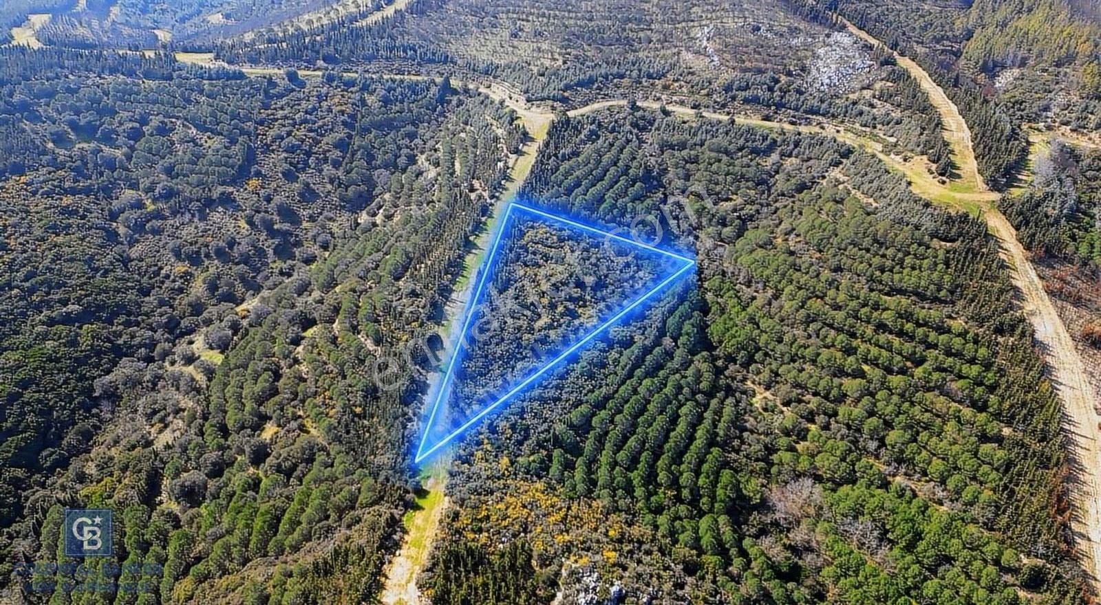 Seferihisar Atatürk Mahallesinde Doğanın Kalbinde Satılık Tarla