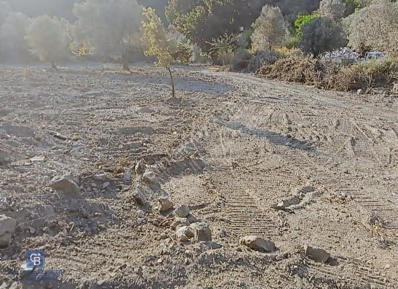 Seferihisar Çamtepe De Satılık Tarla - Görsel 6