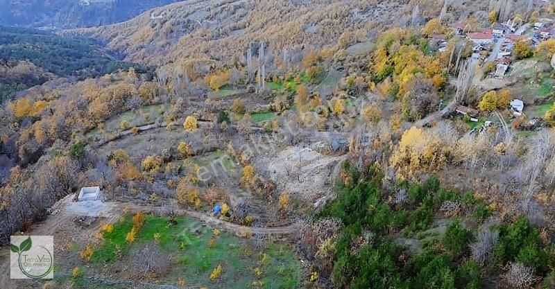 Sakarya Geyve Koru Mahallesinde 1240 M2 İmara 100 Metre Bahçe - Görsel 4