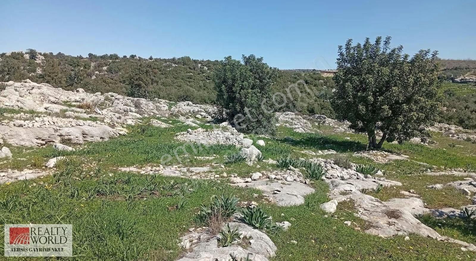 Rw Tersis'den Tarsus Kaklıktaşı Mah Satılık Nergiz Bahçesi - Görsel 2