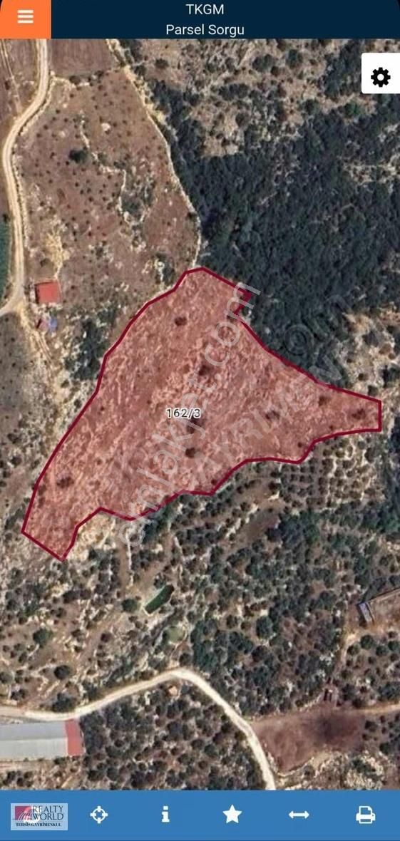 Rw Tersis'den Tarsus Kaklıktaşı Mah Satılık Nergiz Bahçesi