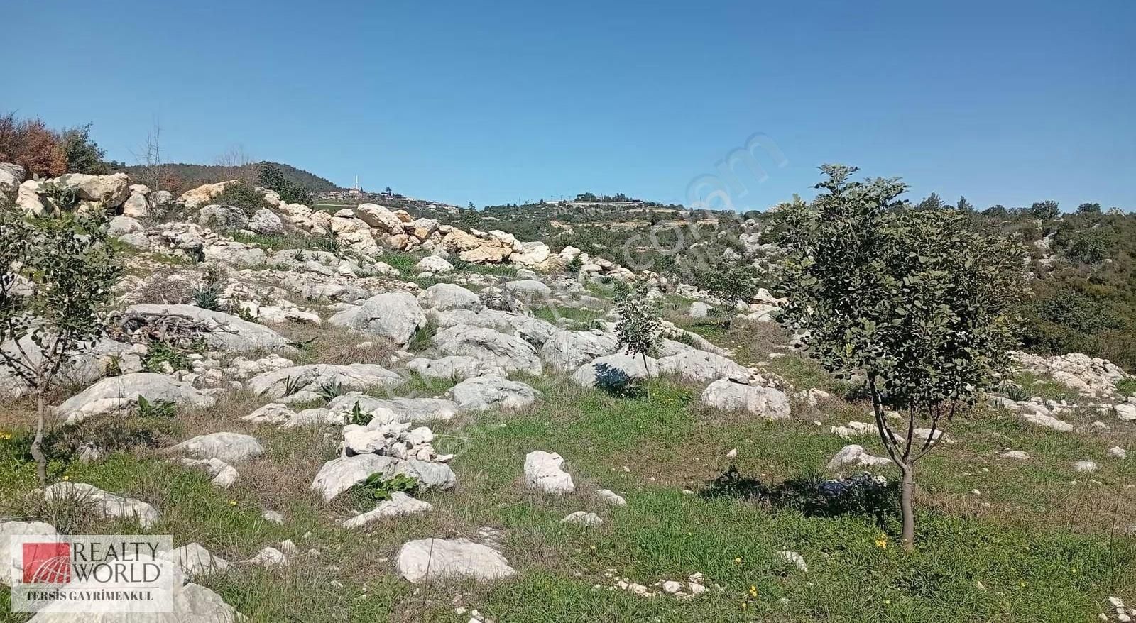 Rw Tersis'den Tarsus Kaklıktaşı Mah Satılık Nergiz Bahçesi - Görsel 10