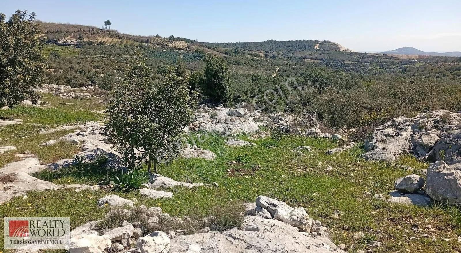 Rw Tersis'den Tarsus Kaklıktaşı Mah Satılık Nergiz Bahçesi - Görsel 4