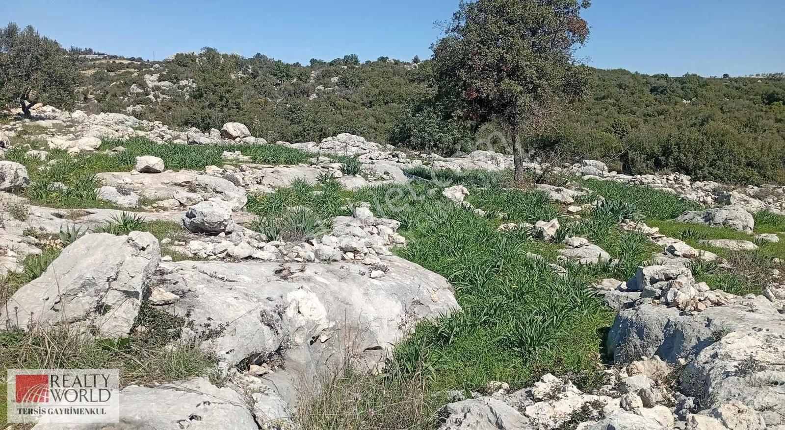 Rw Tersis'den Tarsus Kaklıktaşı Mah Satılık Nergiz Bahçesi - Görsel 8