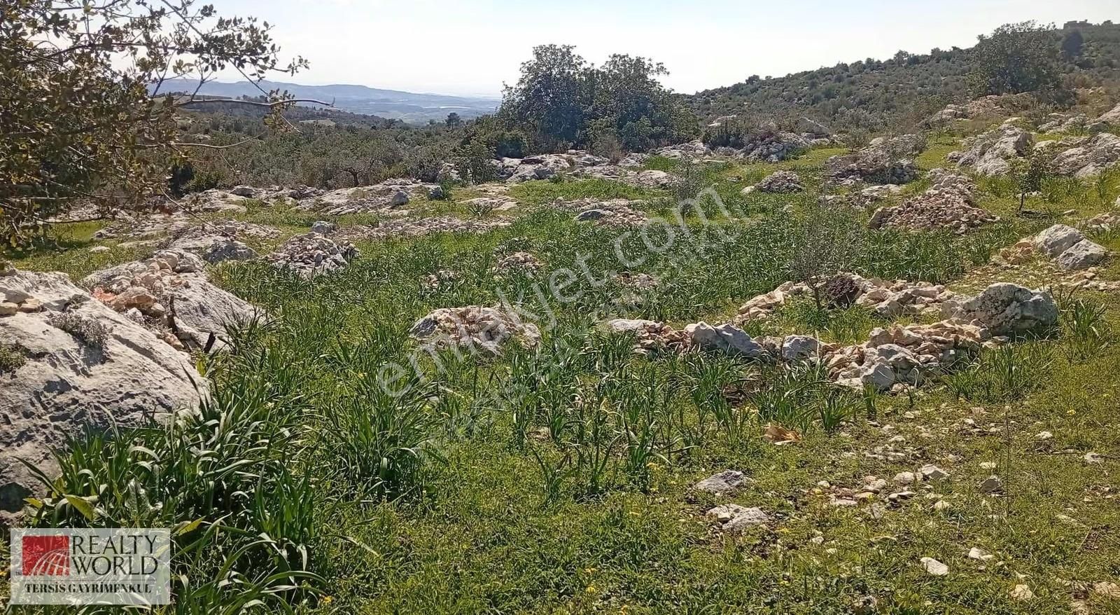Rw Tersis'den Tarsus Kaklıktaşı Mah Satılık Nergiz Bahçesi - Görsel 14