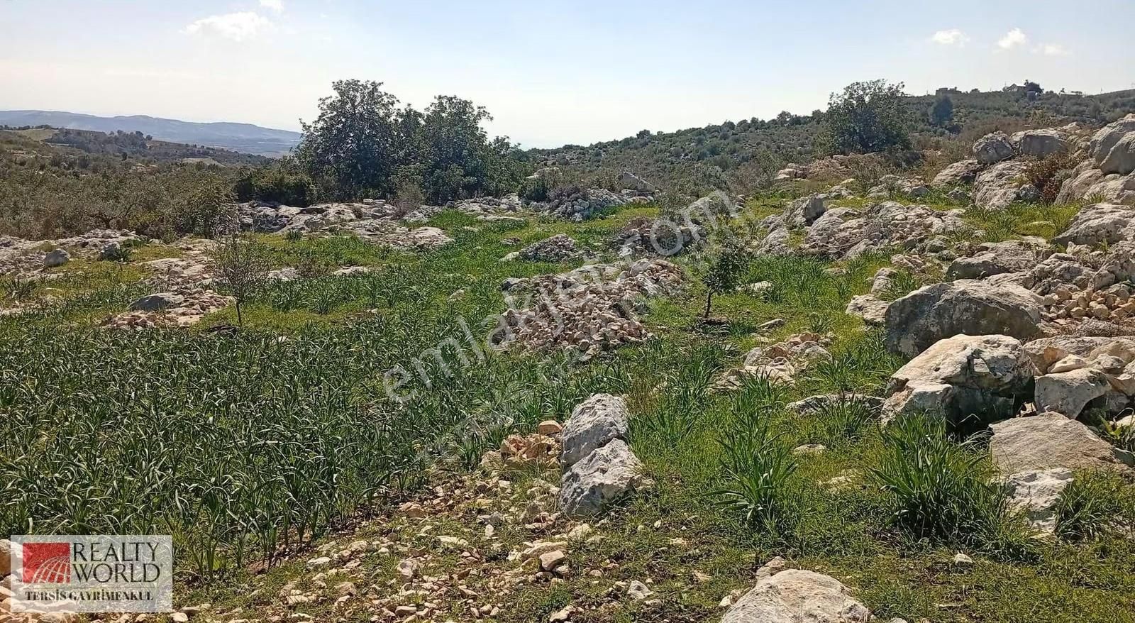 Rw Tersis'den Tarsus Kaklıktaşı Mah Satılık Nergiz Bahçesi - Görsel 6