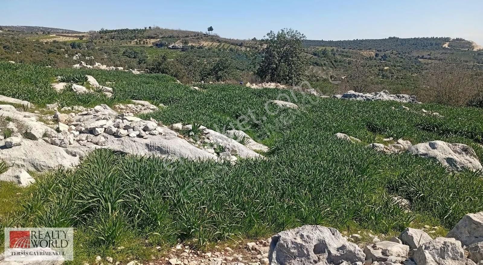 Rw Tersis'den Tarsus Kaklıktaşı Mah Satılık Nergiz Bahçesi - Görsel 20