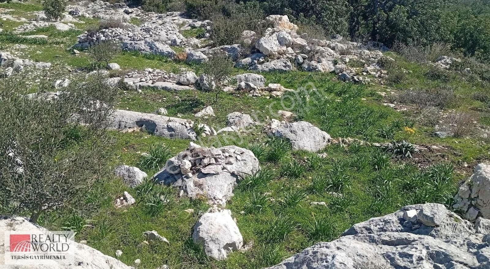 Rw Tersis'den Tarsus Kaklıktaşı Mah Satılık Nergiz Bahçesi - Görsel 23