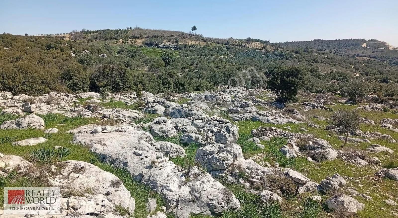 Rw Tersis'den Tarsus Kaklıktaşı Mah Satılık Nergiz Bahçesi - Görsel 17