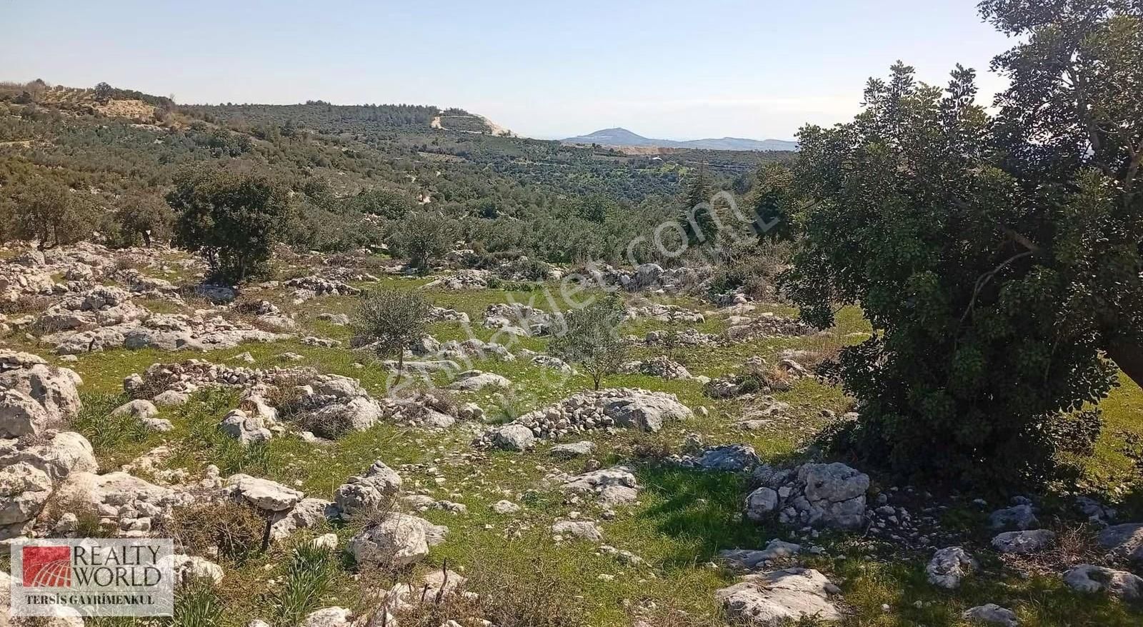 Rw Tersis'den Tarsus Kaklıktaşı Mah Satılık Nergiz Bahçesi - Görsel 3