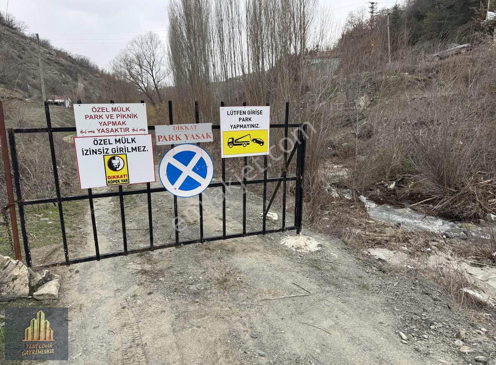 Kıbrısköy Kanyon'da Akarsu Kenarında Yolu Açık Kapılı Bahçe - Görsel 5
