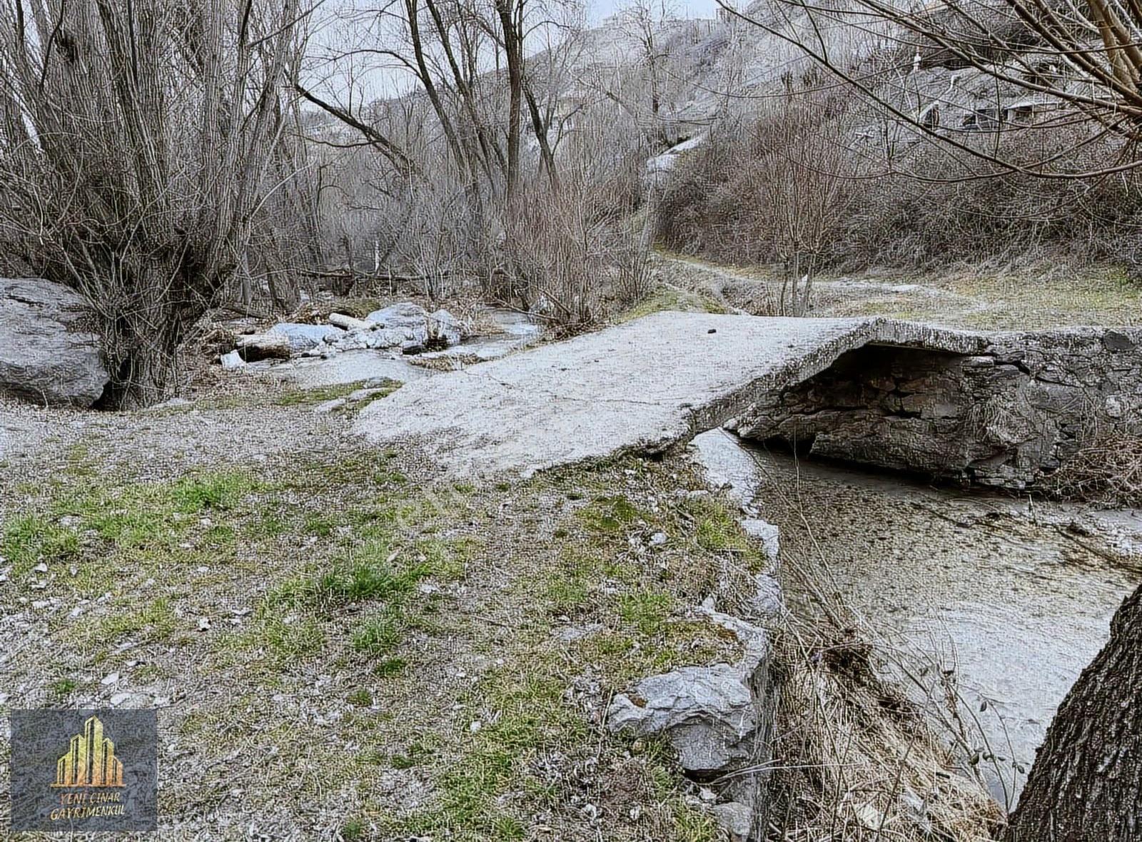 Kıbrısköy Kanyon'da Akarsu Kenarında Yolu Açık Kapılı Bahçe - Görsel 8