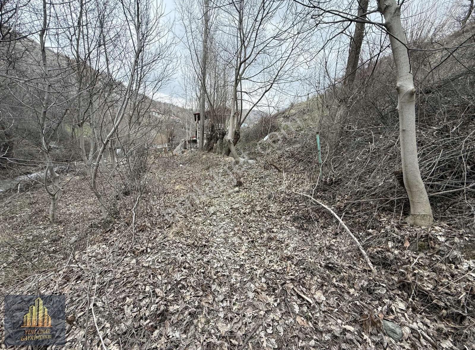 Kıbrısköy Kanyon'da Akarsu Kenarında Yolu Açık Kapılı Bahçe - Görsel 23
