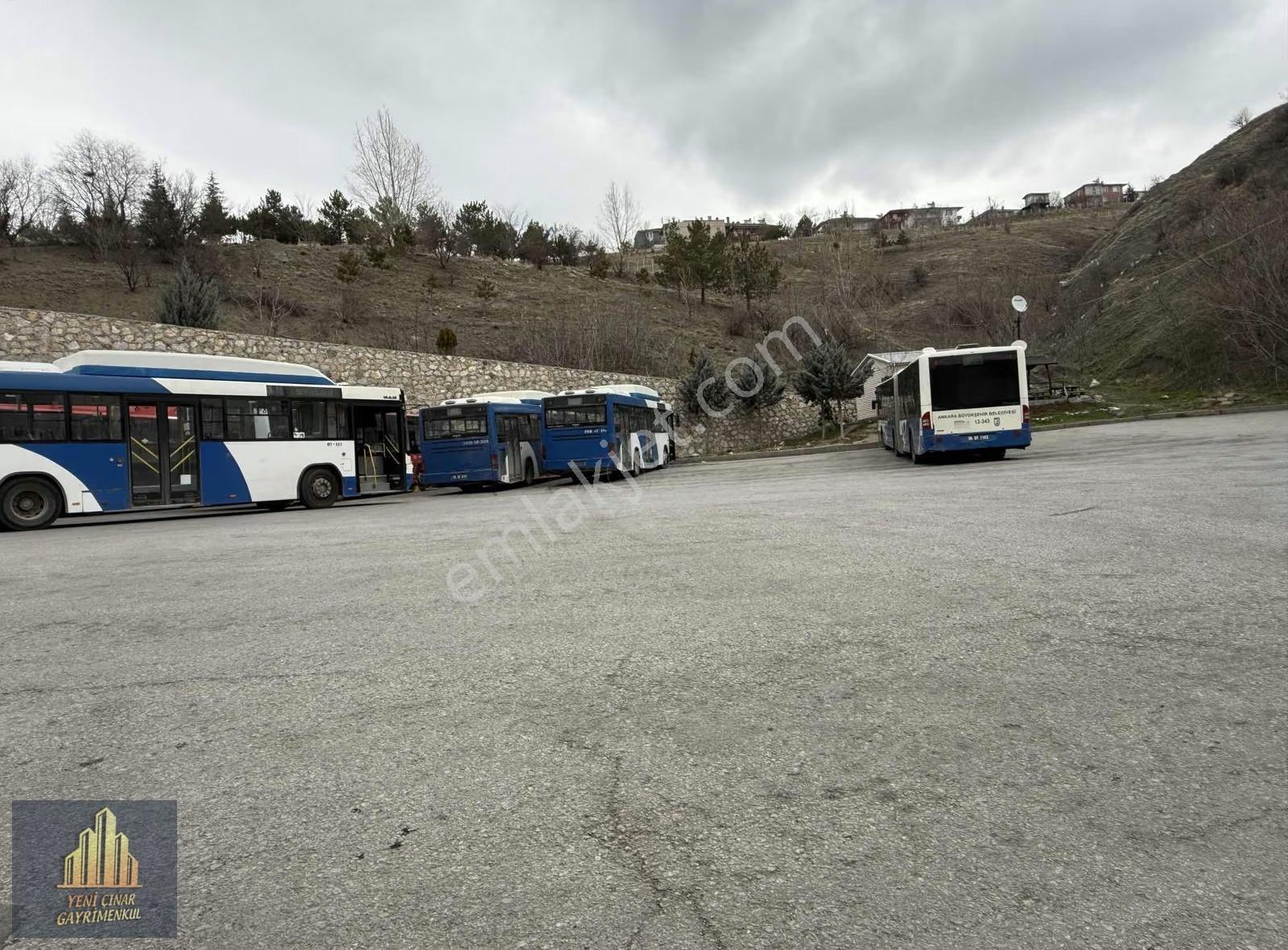 Kıbrısköy Kanyon'da Akarsu Kenarında Yolu Açık Kapılı Bahçe - Görsel 33