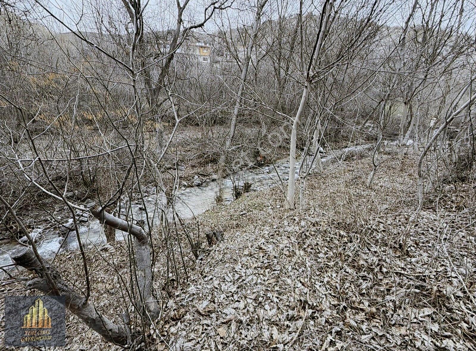 Kıbrısköy Kanyon'da Akarsu Kenarında Yolu Açık Kapılı Bahçe - Görsel 25