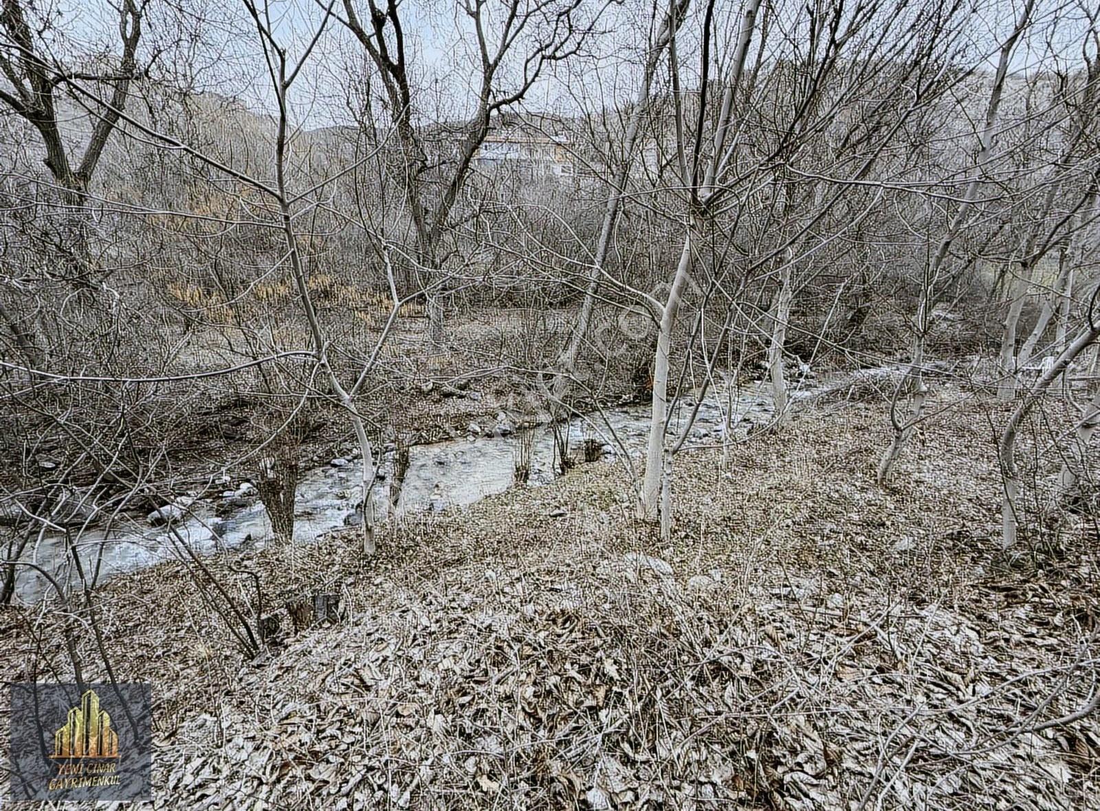 Kıbrısköy Kanyon'da Akarsu Kenarında Yolu Açık Kapılı Bahçe - Görsel 24