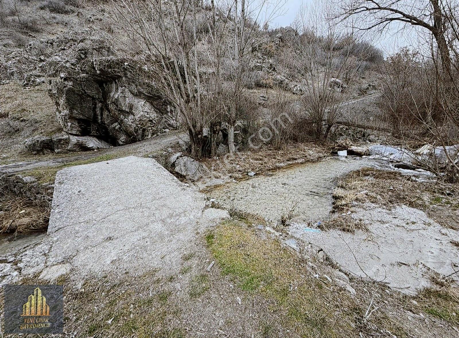 Kıbrısköy Kanyon'da Akarsu Kenarında Yolu Açık Kapılı Bahçe - Görsel 30