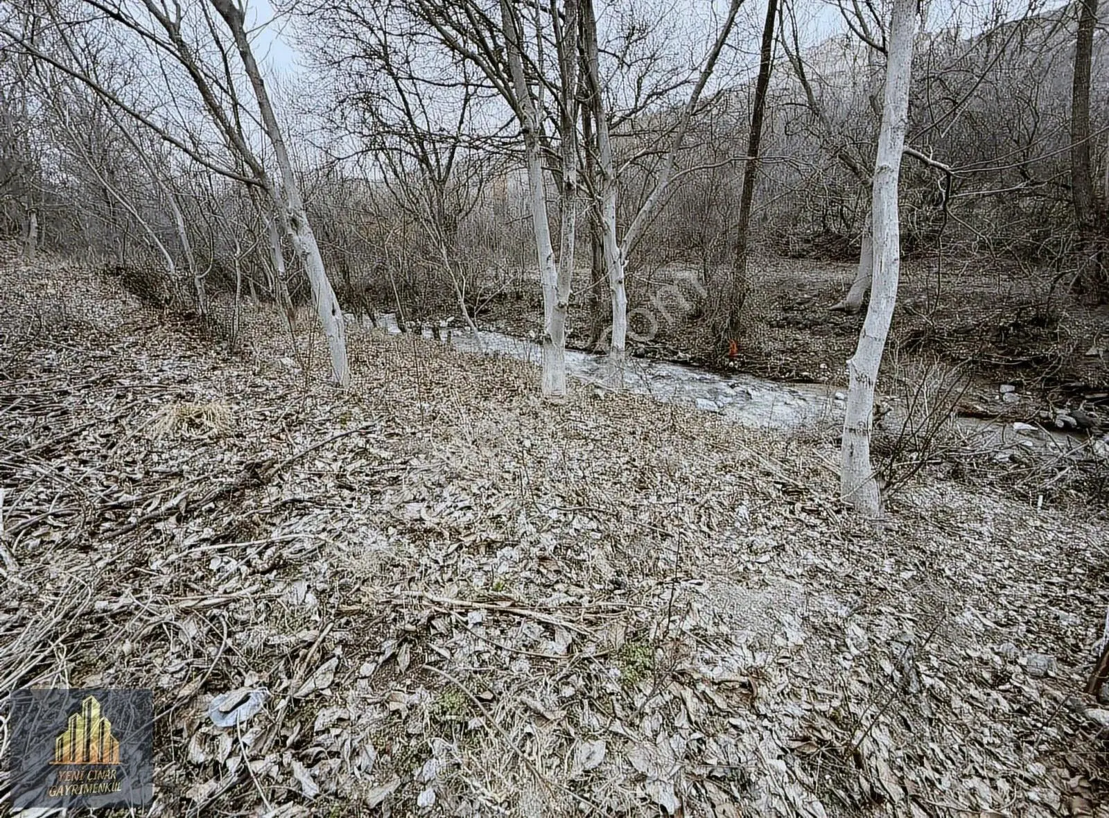 Kıbrısköy Kanyon'da Akarsu Kenarında Yolu Açık Kapılı Bahçe - Görsel 2